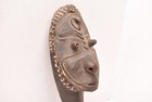 Antique Papua New Guinea Sepik River Wooden Mask Cowrie Shells 17 5  Long