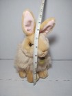 Aurora Miyoni Plush Bunny Cream Light Brown Furry Rabbit Stuffed Animal