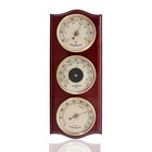 Classic Analog Weather Station-home Barometers-indoor Barometer-barometer Hygrom