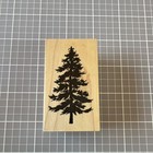 Psx Evergreen Tree Wood Mounted Rubber Stamp D-1163 Vintage    93 Christmas Nature