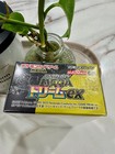 Pokemon Tcg Mega Dream Ex M2a Sealed Japanese Booster Box--  