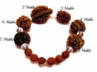 Rudraksha 2 3 4 5 6 7 Mukhi  face  Beads Mala Wrist Band Bracelet Energized