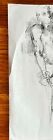 Male Anatomy  Nude Figure Study Charcoal Drawing Sketch - Broad Shoulders