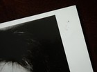 Eric Clapton - Original Promo Press Photo - 1974 - 461 Ocean Boulevard
