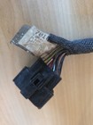 08 Harley Sportster Xl883l 883 Low Efi Fuel Injector Engine Wiring Wire Harness