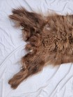 Vintage Large Blonde Tanned Hide Rug Skin