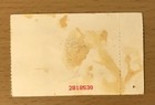 1991 Red Hot Chili Peppers   Pearl Jam   Nirvana Tempe Az  Concert Ticket Stub 3