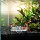 4pcs Aquarium Feeding Dish With Suction Cup  2 5   Transparent Acrylic Shrimp