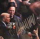 President Donald Trump Autographed Signed Ufc Fight Photo Elon Musk Jon Jones 