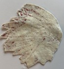 Vintage Native American Indian Chief Felt Patch Nandua Warriors High School