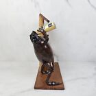 Taxidermy Mexico Folk Art Frog Toad Getting Drunk Drinking Beer 