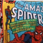 The Amazing Spider-man Comic Book Fleece Throw Blanket Fringe Marvel Licensed