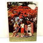 Vintage 1963 Hawaii s Flowers Plants   Fruits Booklet