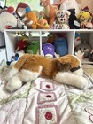 Fao Schwarz St  Bernard Sleepy Puppy Dog Large 21    Plush Stuffed Animal