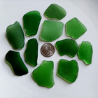 11 Xl Green Sea Beach Glass Pieces Genuine Surf Tumbled  Thick And Frosted  Nyc