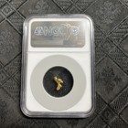 Ss Central America Ssca Shipwreck Ngc 0 7 Gram  Gold Nugget  Treasure
