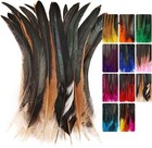 Colorful Rooster Tail Feathers-50pc 10-12inch Natural Long Rooster Tail Feath   