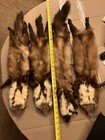 4 Stone Marten Fur Pelts  Beautiful Vintage Stole