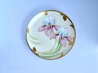 Limoges Plate Hand   painted Yellow Iris Signed J   barin C 1906   1920