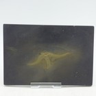Pyritized Fossil Starfish  Devonian Budenback Hunsr  ck Slate Germany Rare