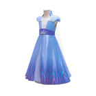 Frozen 2 Elsa Costume With Accessories