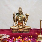 Home God Lord Shiva Statue Figurine Blessing Idol Sculpture 20 Cm X 17 Cm