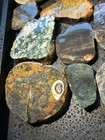 2 5  Pnw Pacific Northwest Sliced Rock Lot Agate Jasper Quartz Lapidary Rough 1 