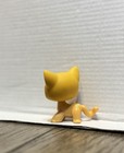 Hasbro Littlest Pet Shop  71 Shorthair Cat Orange With Blue Eyes Rare