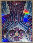 Tool Poster 2020 Sydney Australia Signed By Alex Grey 