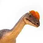 Safari Ltd Dilophosaurus Dinosaur Figure 100508 New In Stock