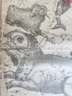 1856 Constellations Celestial Map Chart W  Zodiacal Figures October - December