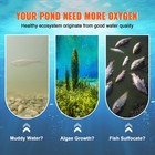 Pond Aerator Lake Pond Aeration Kit 3 4 Hp 550w 5 2cfm For Up To 3 Acre