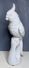 Beautiful Life Size Italian Vintage Regency Glazed Ceramic Cockatoo 17 5    H