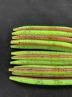 25ct Lot 5  Pumpkin Seed Chartreuse Senko Style Stick Soft Plastic Bass Fishing