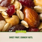 Nature Valley Chewy Fruit And Nut Trail Mix Bars 1 2 Oz  48 Bags pack