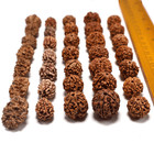 Set 35 Pcs Natural Rudraksha Java Beads 2 3 4 5 6 Mukhi Genuine  7 Pcs Of Each 