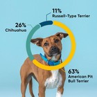 Embark Breed   Health Dog Dna Test Kit  Breed Identification   Genetic Health 