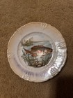 Vintage 8-inch Salad Fish Plate With A Raised Relief Lustre Ware Border 