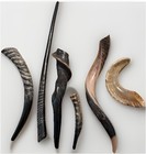 Shofar Set Kudu Blesbok Ram Eland Waterbuck Horns 17   -30    Kosher Free Shipping