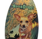 Souvenir Surfboard Handmade Huntington Beach California Moon Doggy Chihuahua