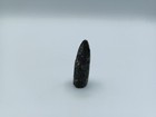 Fossil Tooth 