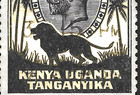 1935 Tanganyika kenya Uganda Sc 48  George V  Mnh Ng Vf  Lion