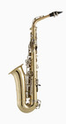 Selmer Sas301 Student Alto Saxophone - Lacquer