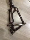 Circle Y Show Halter W  Alpaca Silver