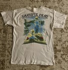 Vintage 1995 Grateful Dead Spring Tour T Skeleton Farm Gdm Usa L Single Stitch