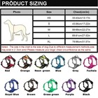 Rabbitgoo Dog Harness With 2 Leash Clips No-pull Reflective Vest For Large Dogs