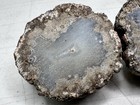 Rough Agate Geode Nodule Halves Polished Interior Mineral Natural Specimen