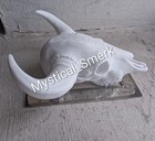 Haunted Active Spirit Negative Baphomet Found Tangible Item Colombian Cow Head