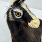 Vintage Dark Brown Horse Real Fur Figurine Glass Eyes 4   