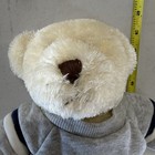 Dan Dee 2006 White Teddy Bear Plush Stuffed Animal W  Gray Hoodie  Small 12in